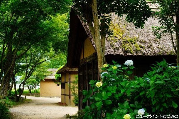 水車小屋の小径