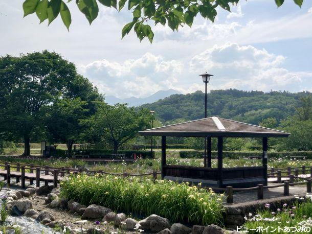 花菖蒲と常念岳