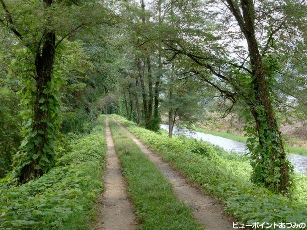 せせらぎの小路